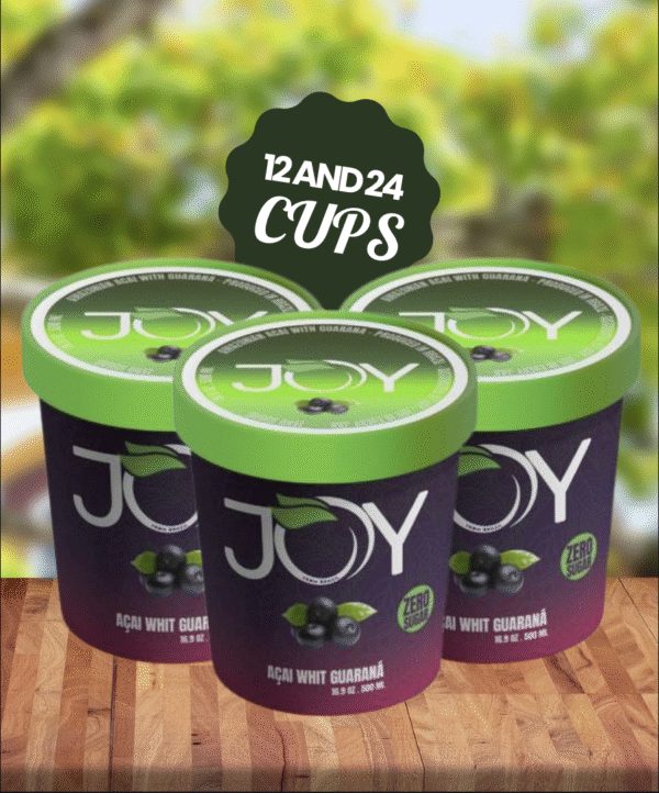 Zero Sugar Açaí Sorbet